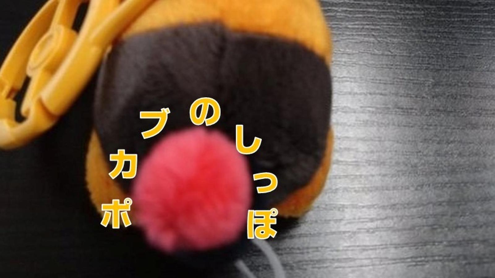 ポカブのしっぽ10月13日