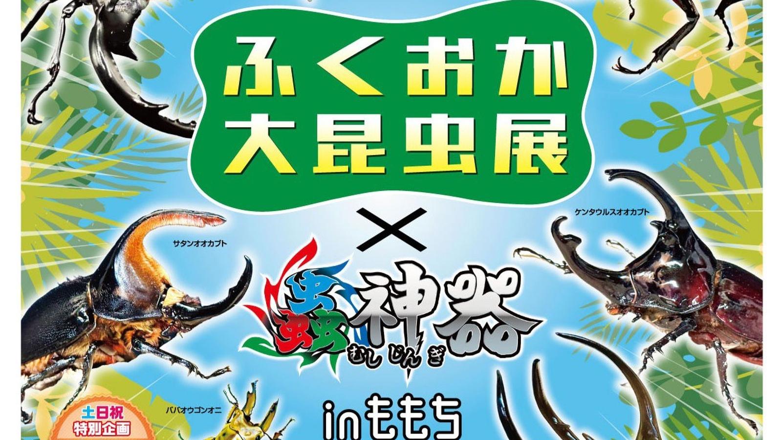 世界の将棋 bme6fzu 中古】世界の将棋 bme6fzu：スカイマーケットプラス
