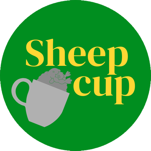 [討論] Sheep Cup朱紫雙打線下交流賽